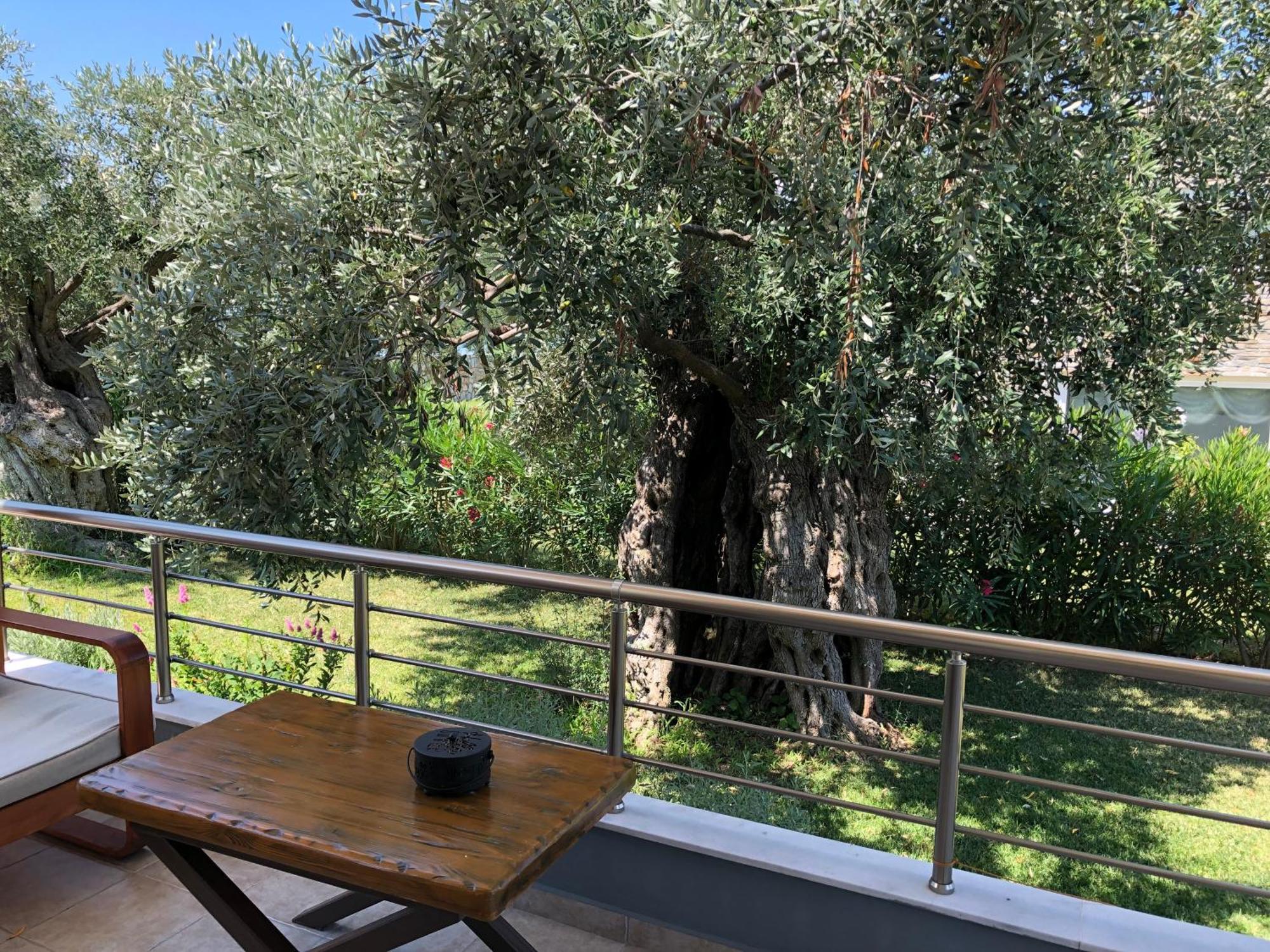 Villa Arhondula Prinos  Bagian luar foto