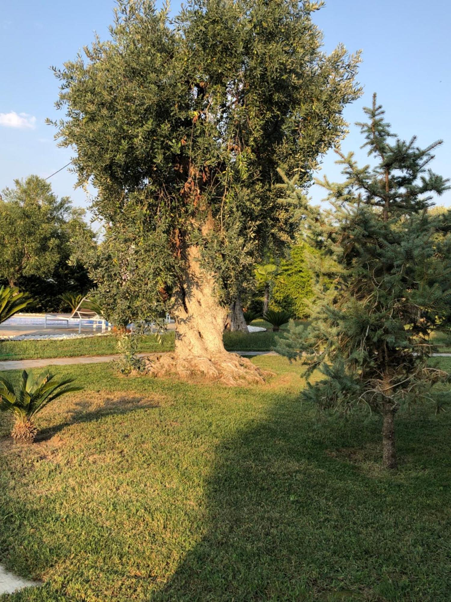 Villa Arhondula Prinos  Bagian luar foto