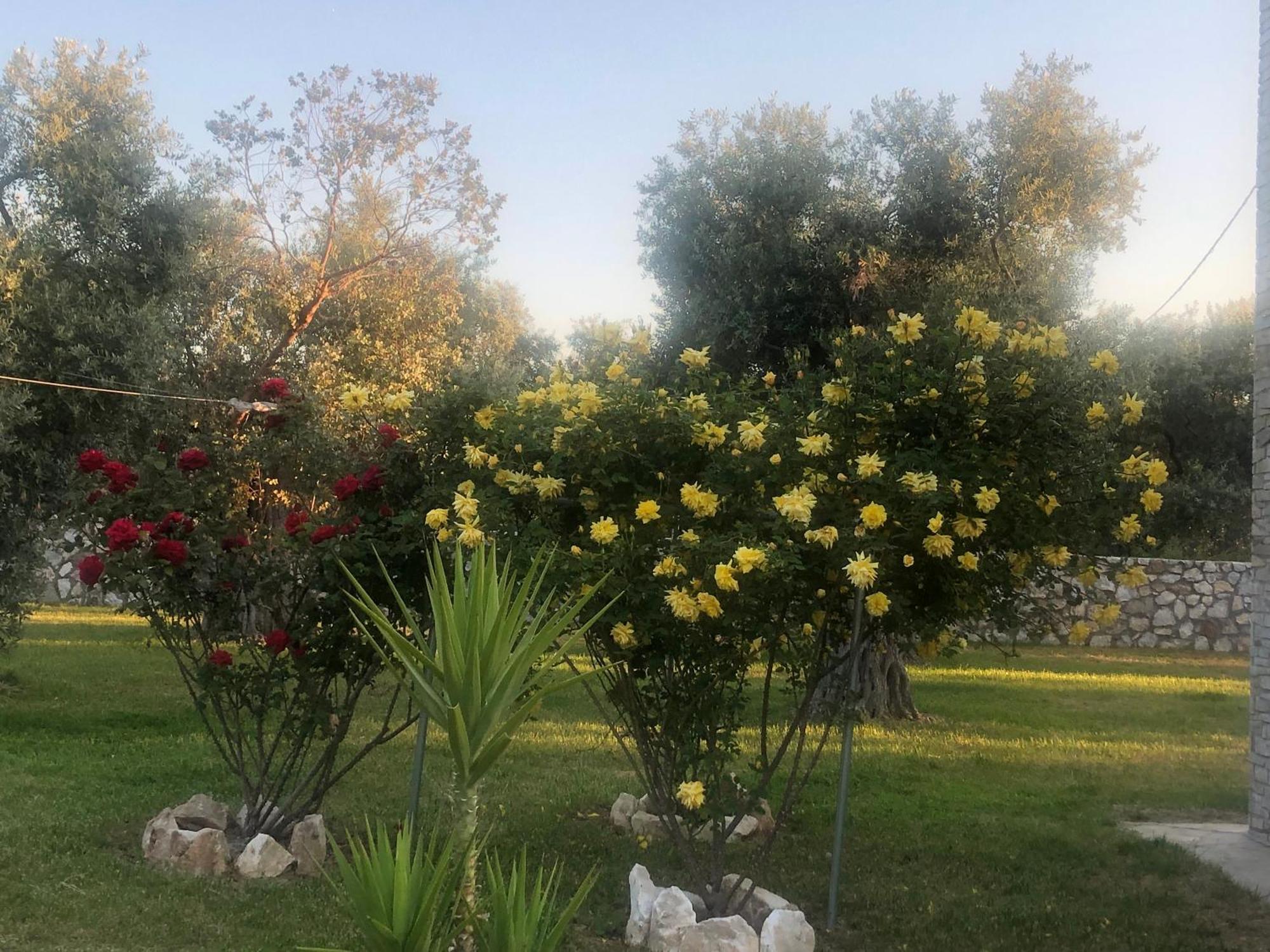 Villa Arhondula Prinos  Bagian luar foto